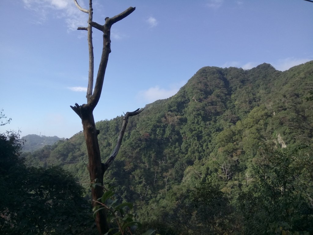 DSC_4802.JPG - 獅潭  仙山