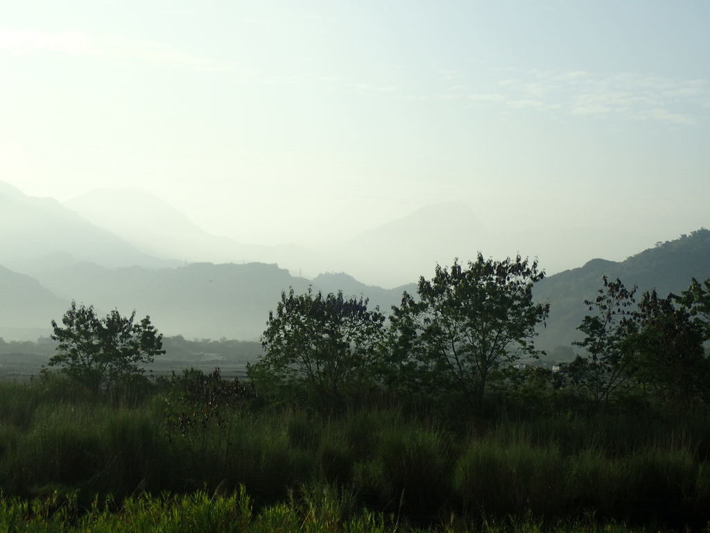 P1073074.JPG - 集集  集鹿大橋  晨光之美