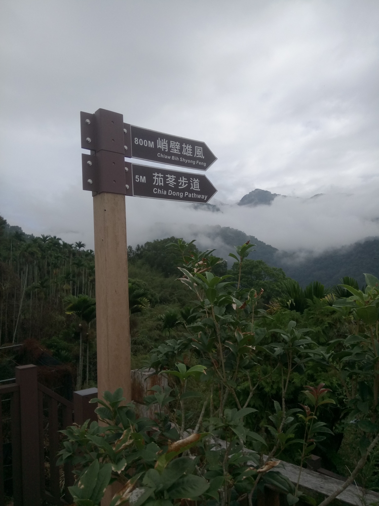DSC_1190.JPG - 草嶺  茄苳步道  峭壁雄風
