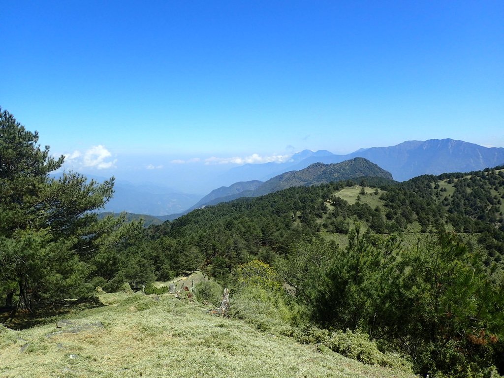 P3268120.JPG - 鹿林山  麟趾山步道  (02)