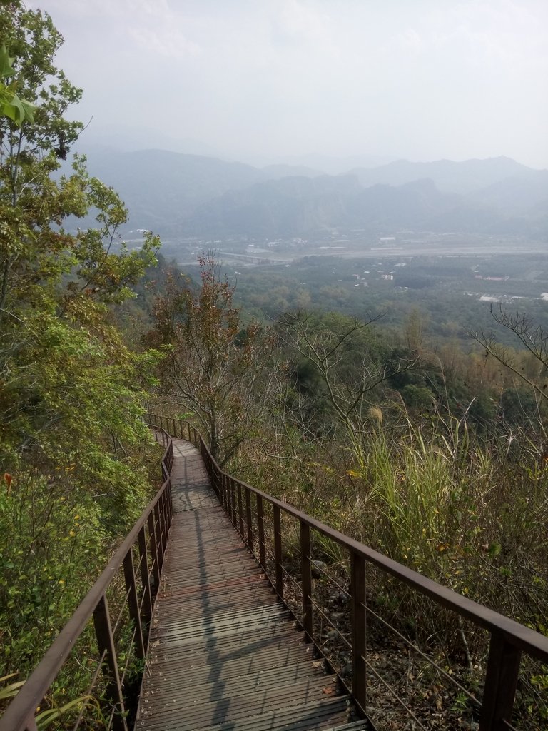 DSC_7336.JPG - 草屯平林  九九峰森林步道