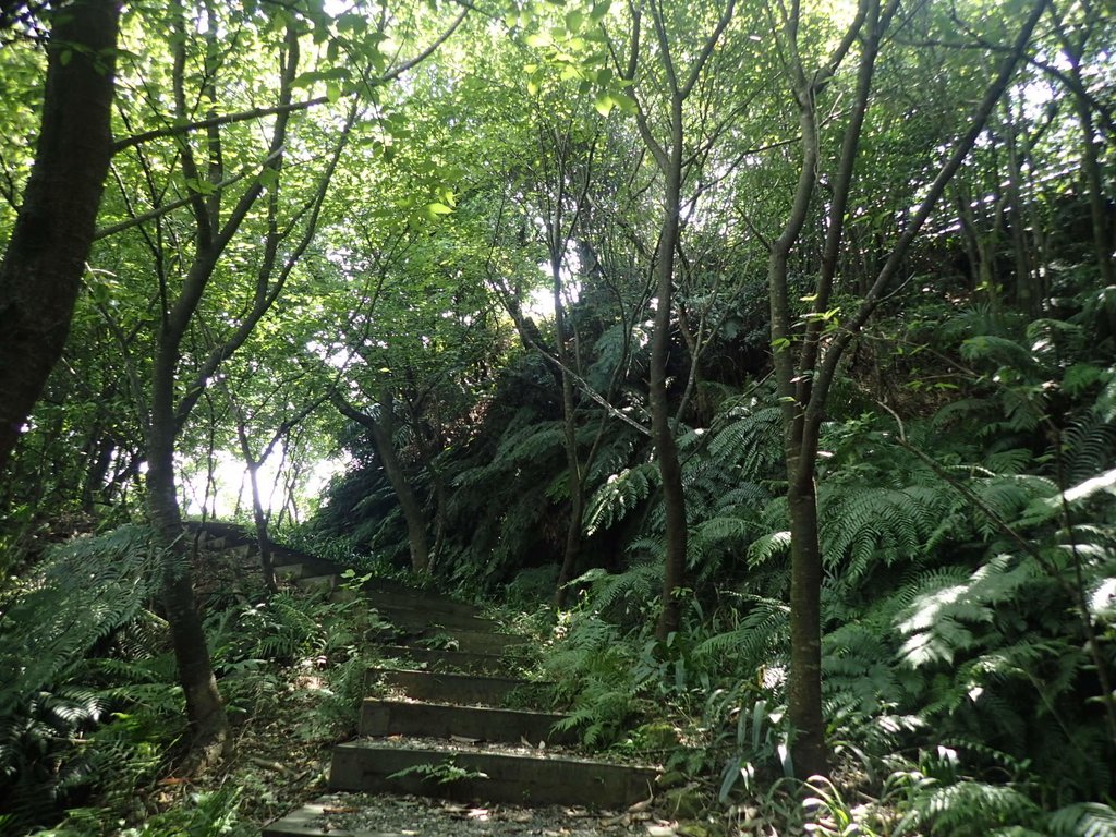 P7214014.JPG - 基隆  樂利山  遠眺新山水庫