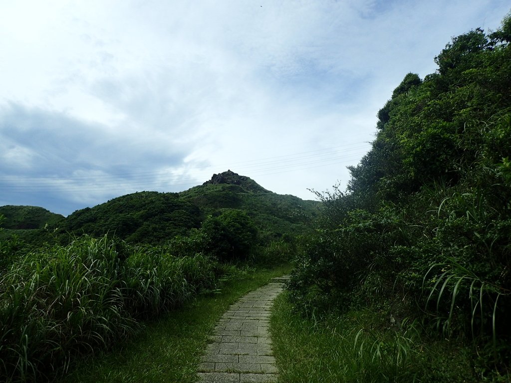 P6090238.JPG - 瑞芳  小金瓜山露頭