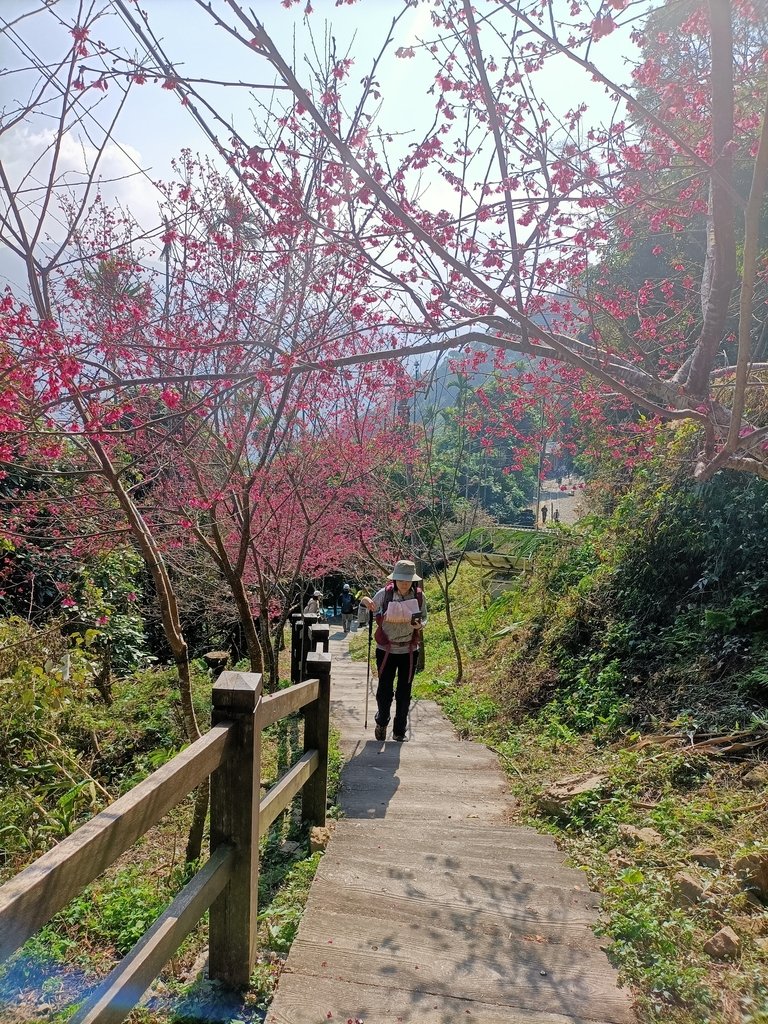 IMG20210130103416.jpg - 竹崎  獨立山登山步道