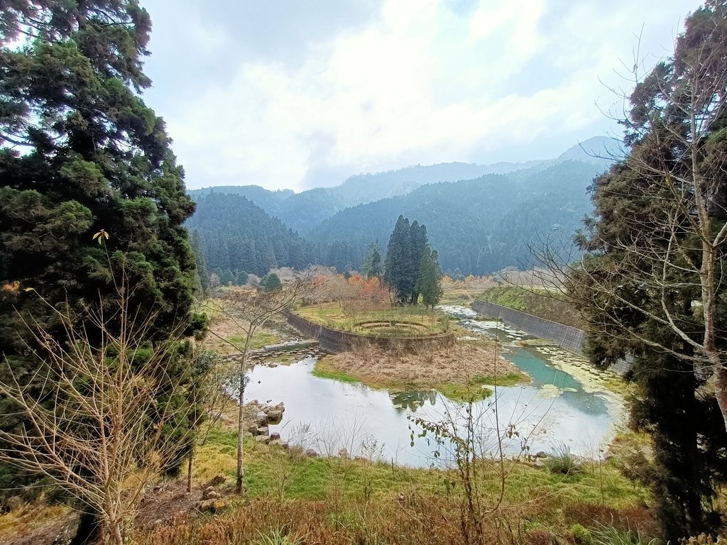 IMG20210205132300.jpg - 竹山  杉林溪森林遊樂園  路過