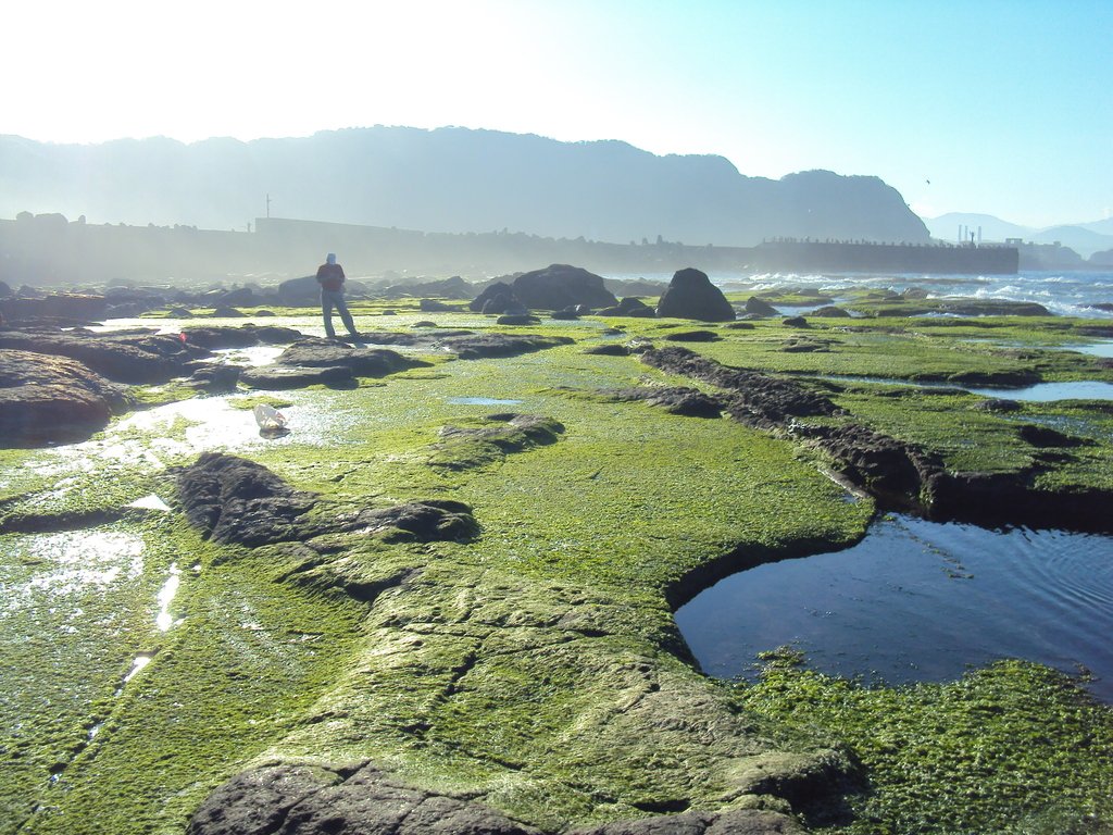 DSC06593.JPG - 八斗子  大坪海岸