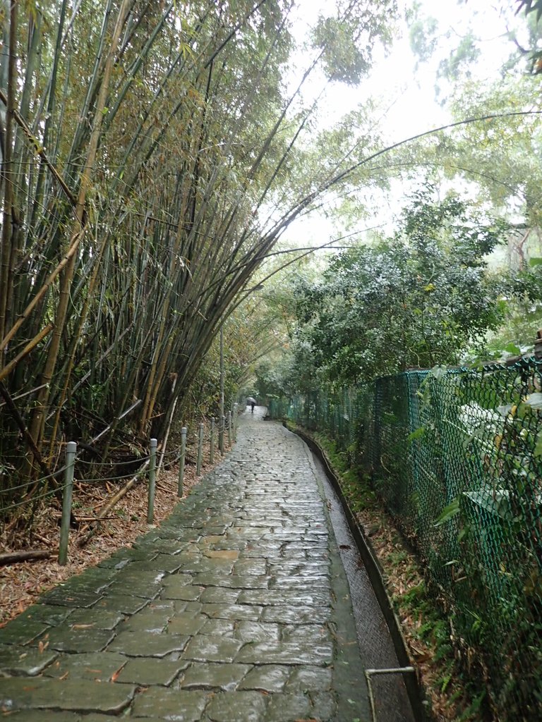 P1062018.JPG - 土城  承天寺  朝山步道