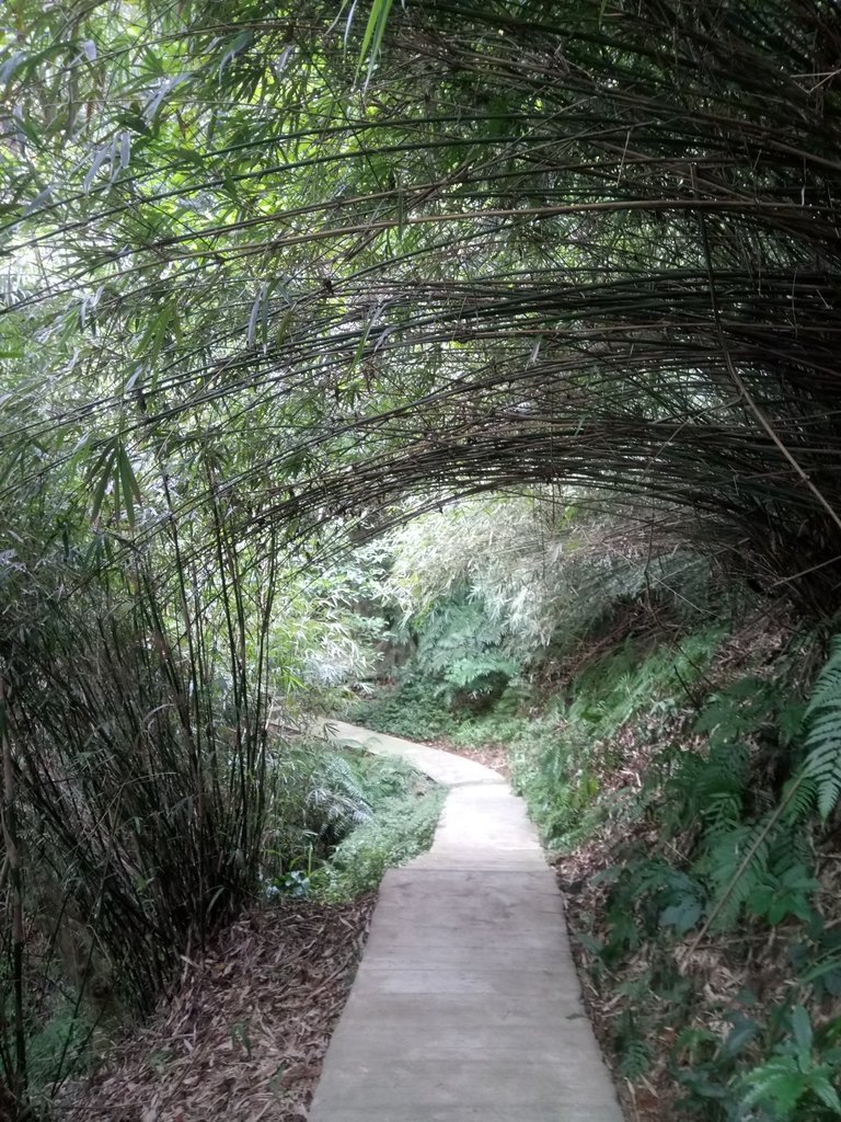 DSC_3065.JPG - 基隆  寶明寺