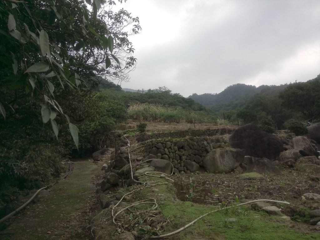 DSC_3327.JPG - 金山  大路崁古道