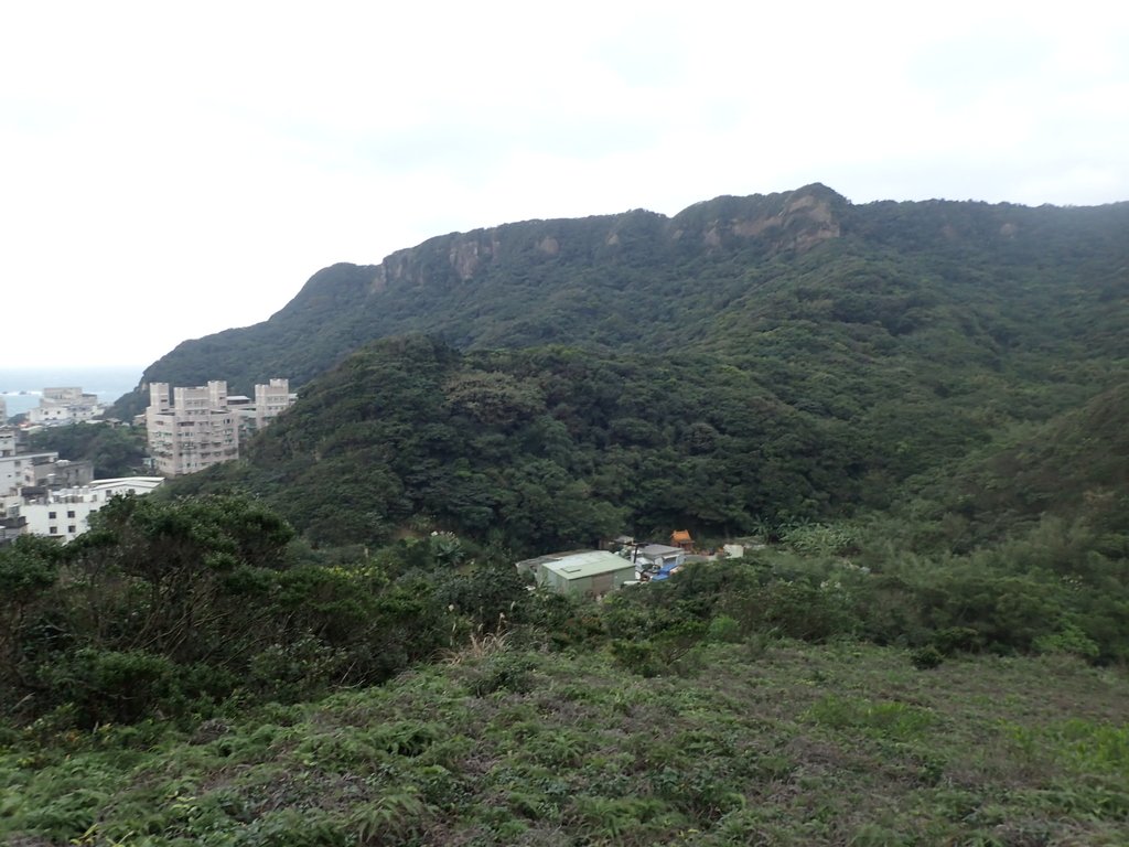 P1264006.JPG - 野柳  北八斗山稜線步道