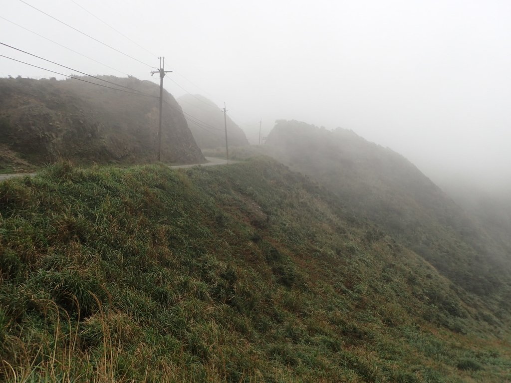 P1203573.JPG - 瑞芳  牡丹山