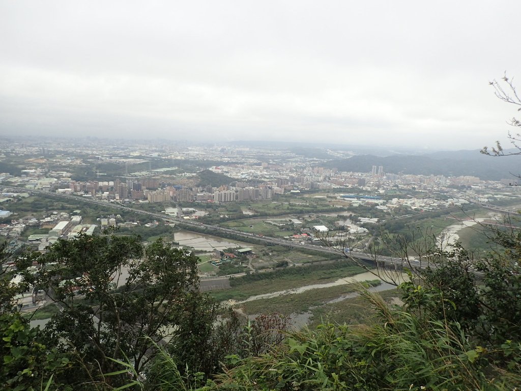 P2168047.JPG - 三峽  鳶山  (福德坑山)