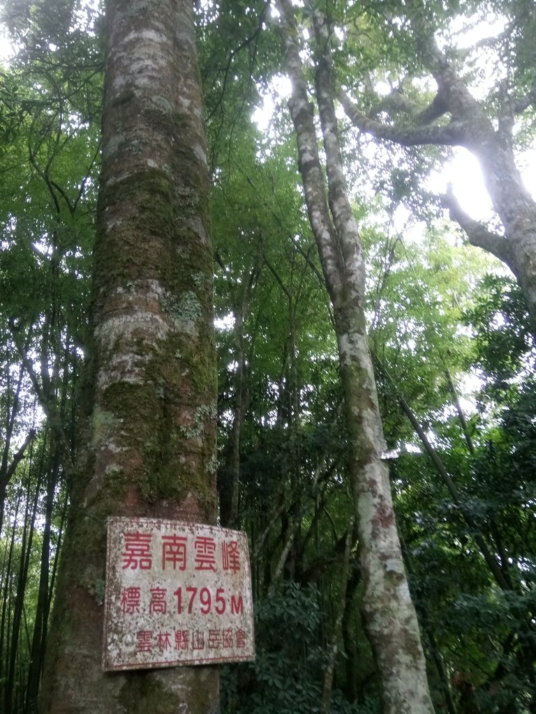 DSC_1287.JPG - 石壁山  嘉南雲峰步道