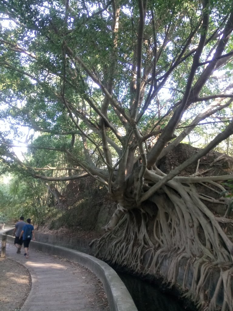 DSC_1792.JPG - 烏日  知高圳步道