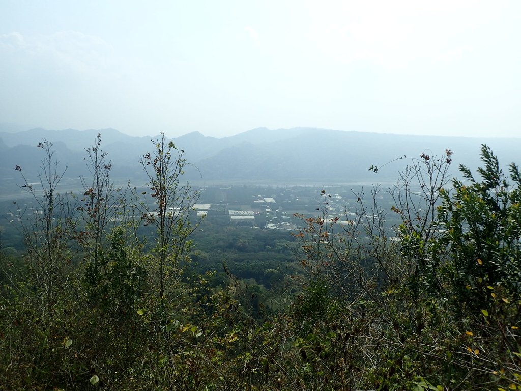 P3016085.JPG - 草屯平林  九九峰森林步道