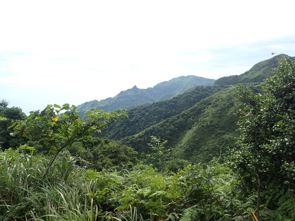 P6090240.JPG - 瑞芳  小金瓜山露頭