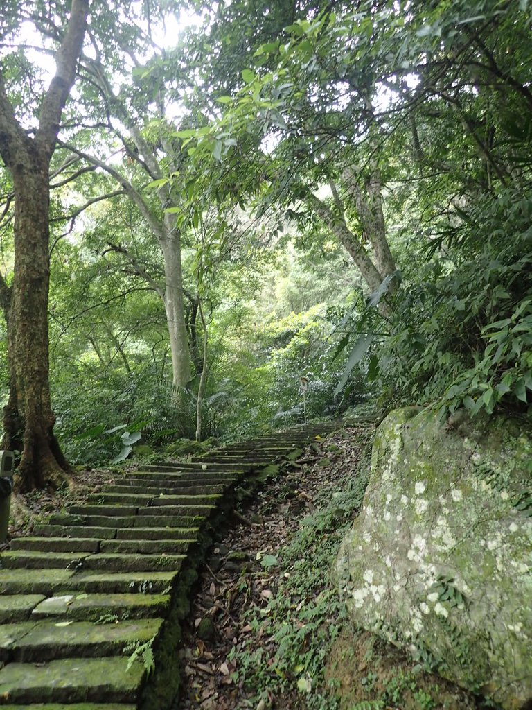 P1294445.JPG - 獅頭山  獅山古道  (01)