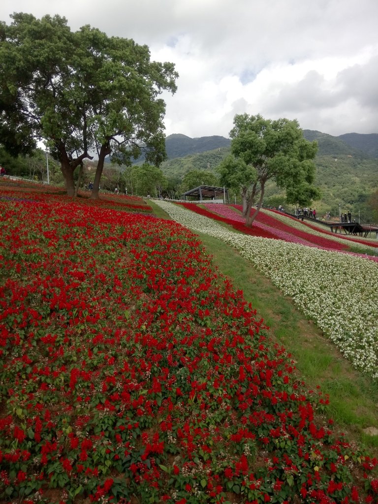 DSC_5458.JPG - 北投社  三層崎公園