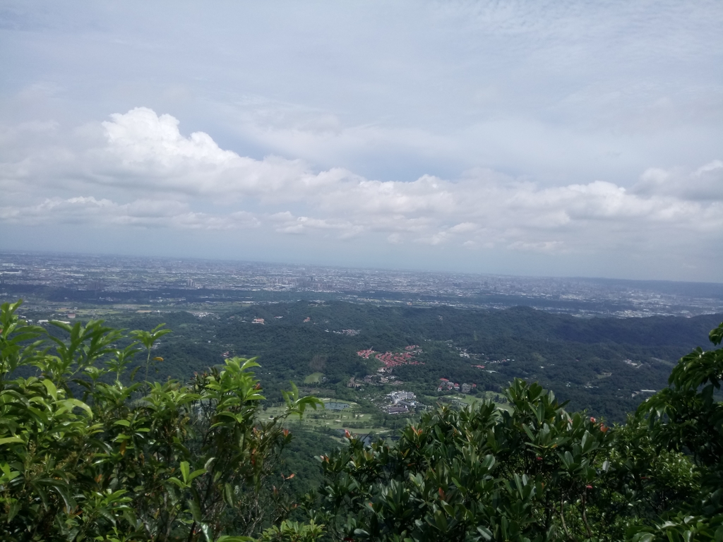 DSC_2990.JPG - 大溪  金面山登山步道