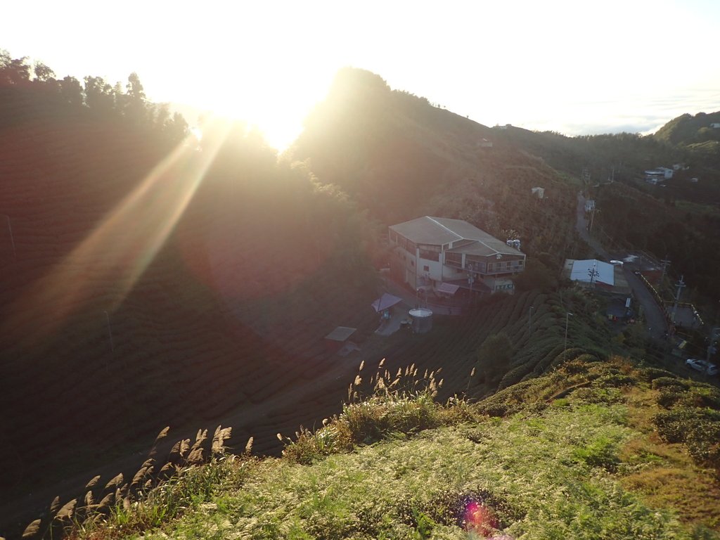 P1076406.JPG - 鹿谷  大崙山  觀霧亭之  暮光