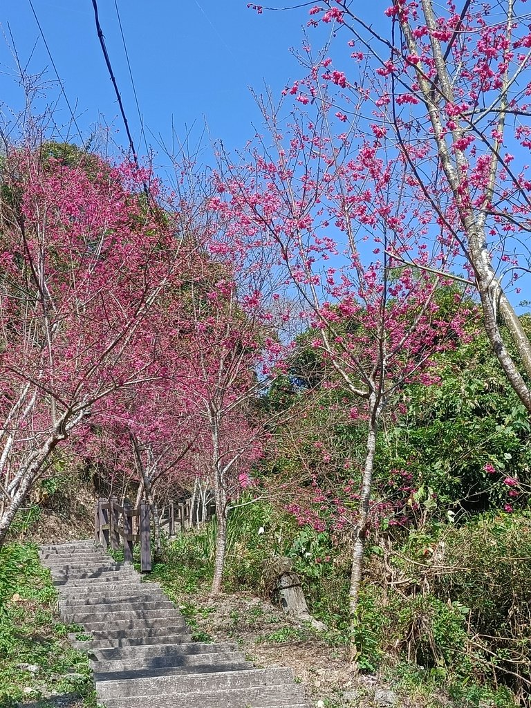 IMG20210130103607.jpg - 竹崎  獨立山登山步道