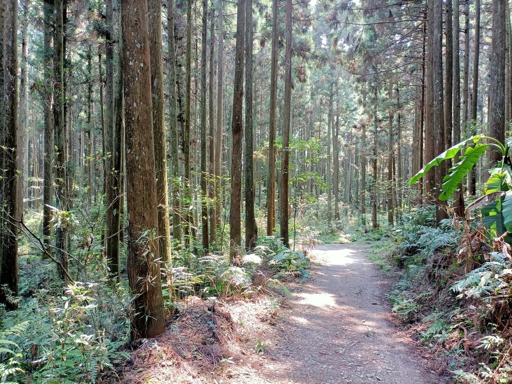 IMG20210403112734.jpg - 五峰  鵝公髻山登山步道  (02)