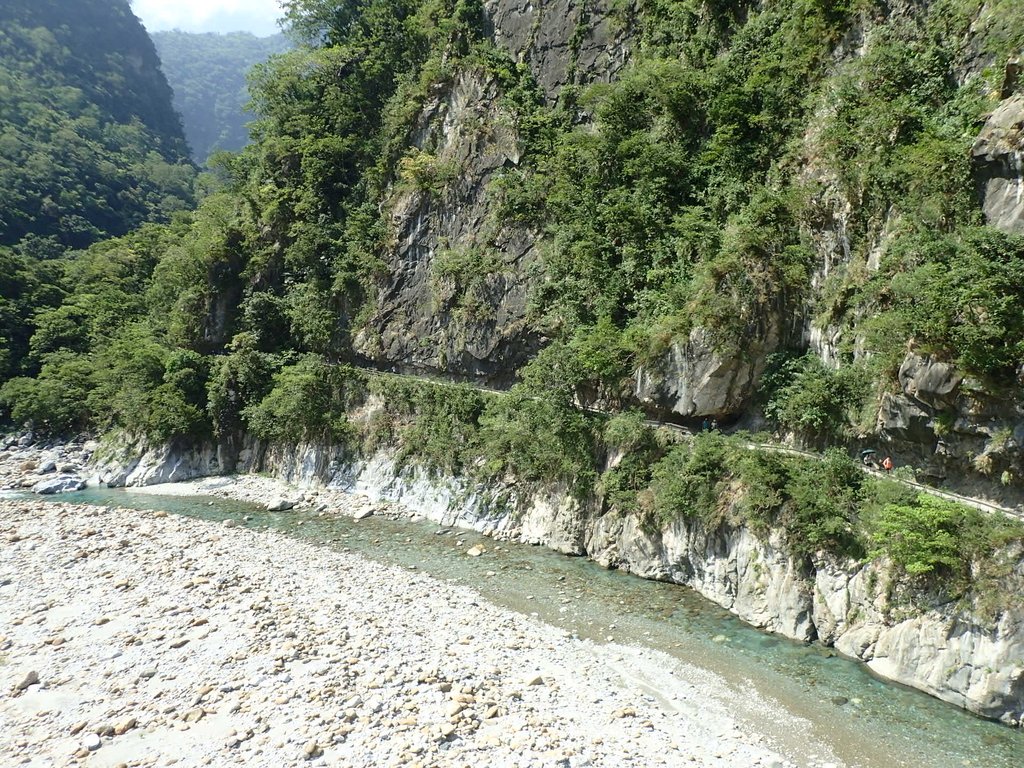 P8120253.JPG - 花蓮  秀林  砂卡噹步道