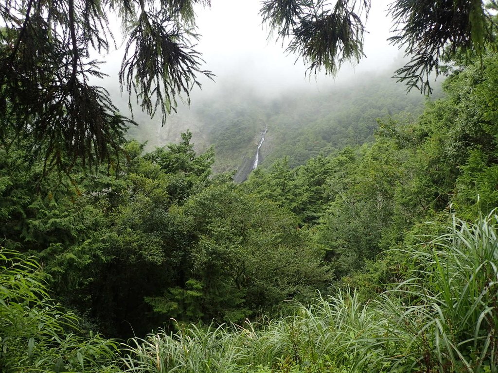 P8226851.JPG - 大同  太平山森林遊樂區