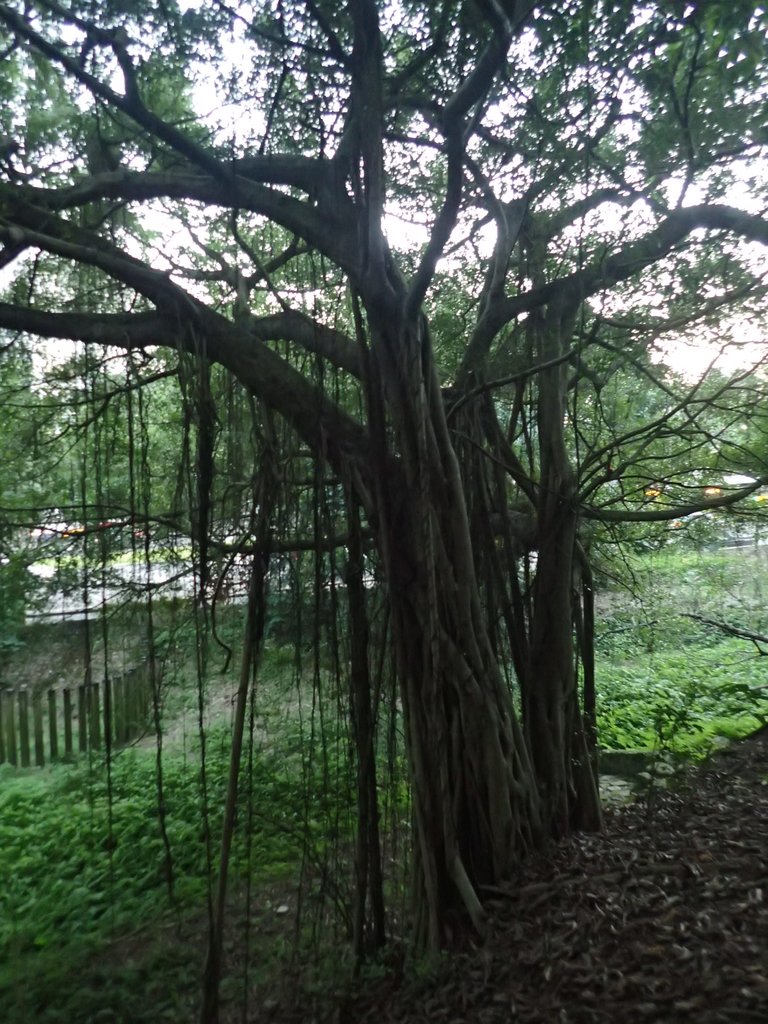 PC018111.JPG - 大直  正願禪寺