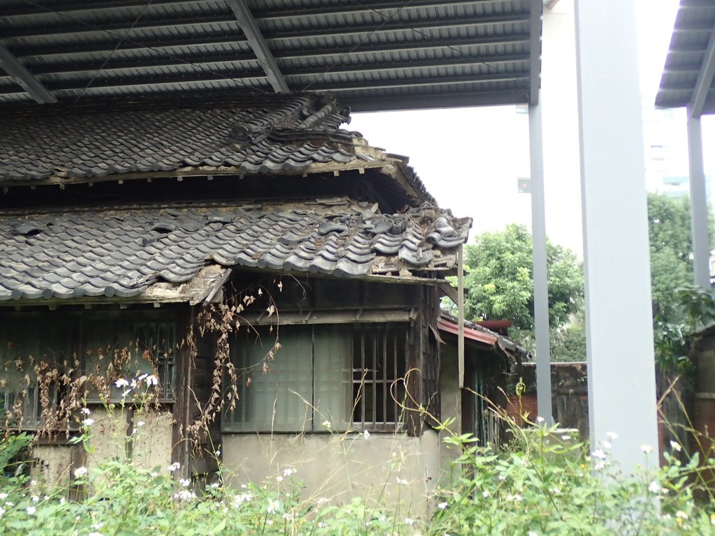 P1051886.JPG - 福州街周邊日式建築群