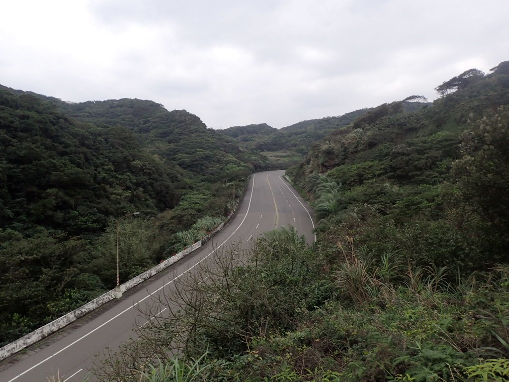 P1264002.JPG - 野柳  北八斗山稜線步道