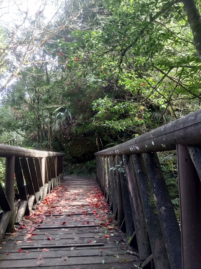 DSC_0111.JPG - 太平山  翠峰湖環山步道  01