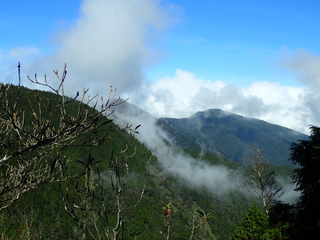 PB265453.JPG - 太平山  翠峰湖環山步道  02