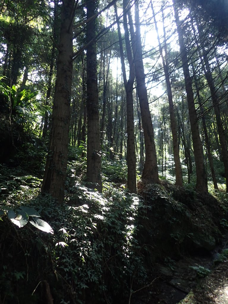 PA064356.JPG - 大湖  馬那邦山  (01)