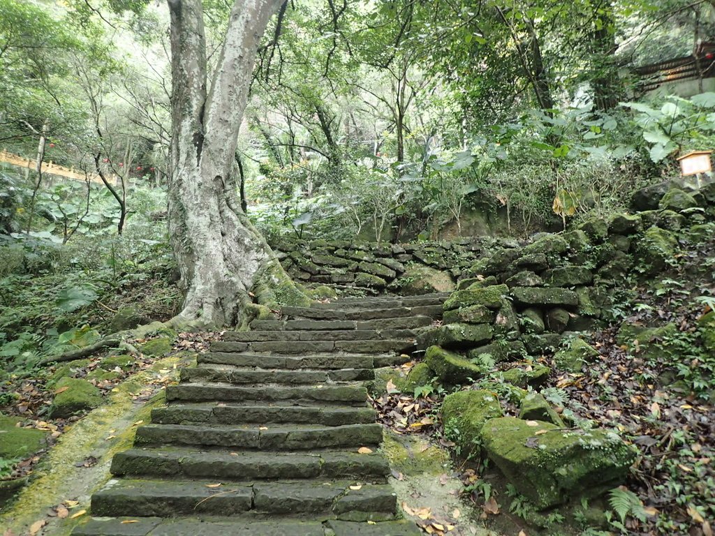 P1294447.JPG - 獅頭山  獅山古道  (01)