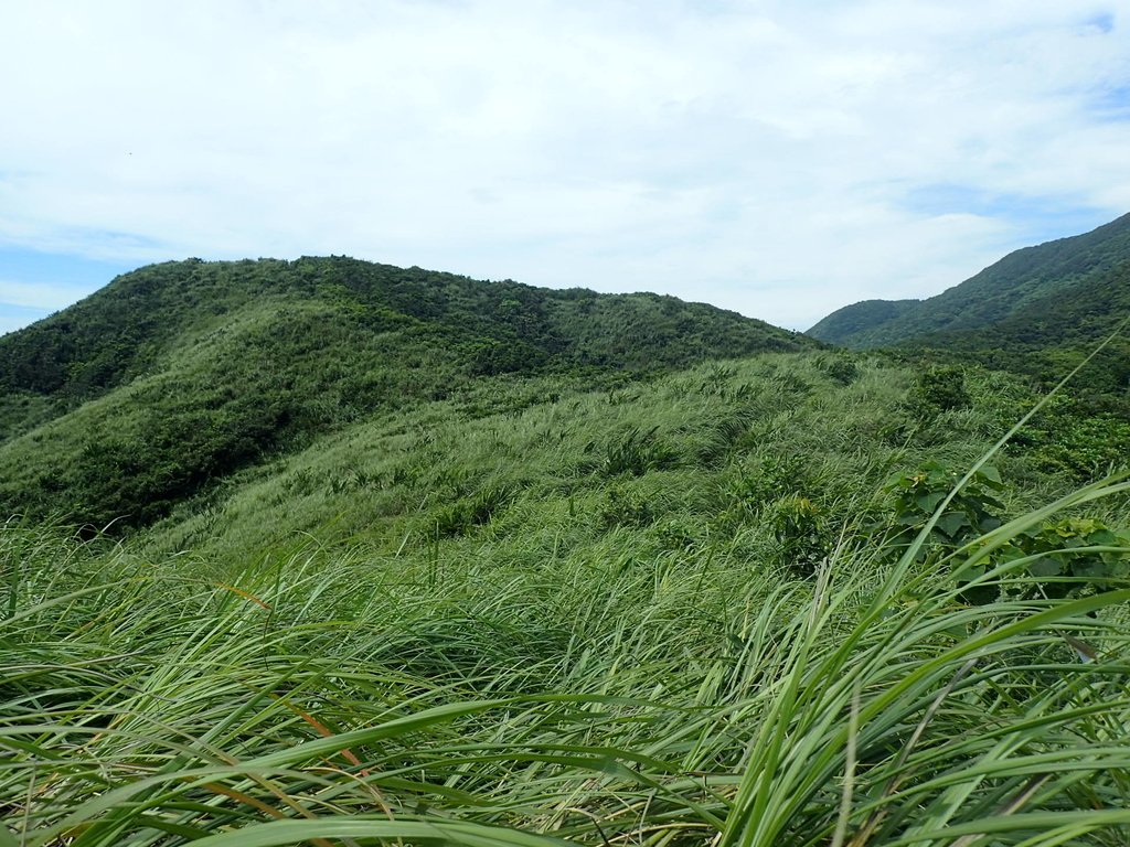 P7072289.JPG - 貢寮  蚊子坑古道  龍洞稜