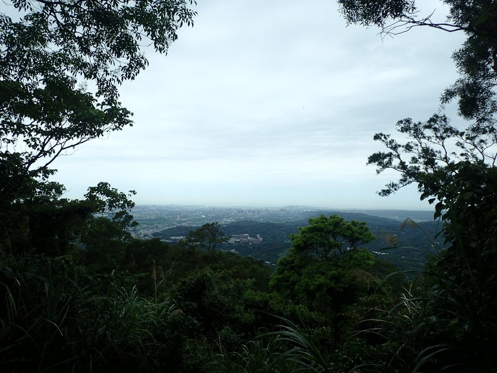 P4272123.JPG - 芎林  飛鳳山  (中坑山)