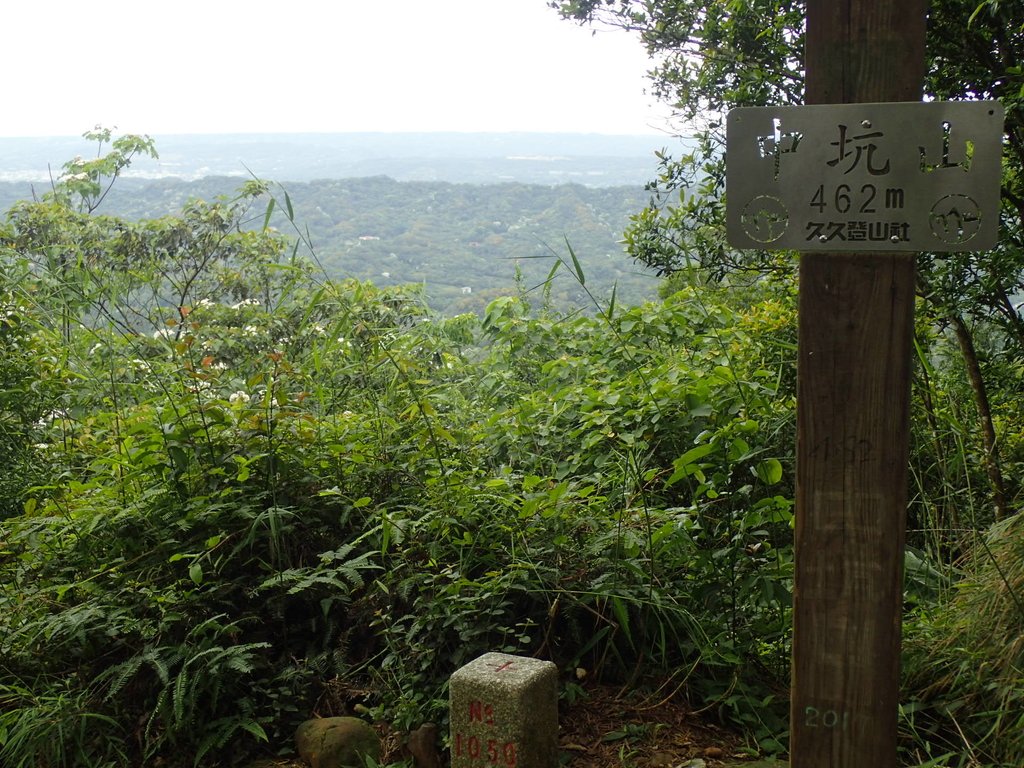 P4272151.JPG - 芎林  飛鳳山  (中坑山)