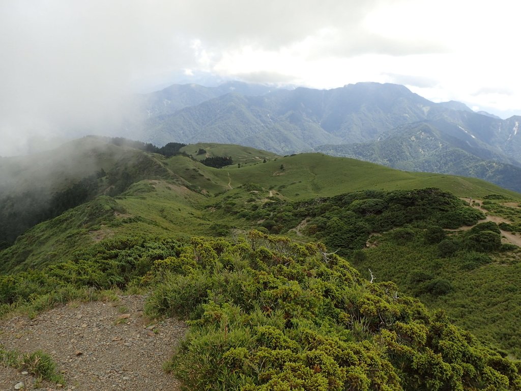 P7246012.JPG - 合歡山  北峰之美  (中)