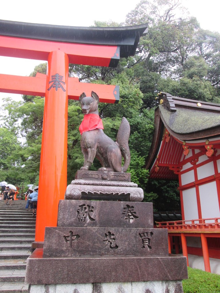 IMG_3674.JPG - 伏見稻荷神社  千本鳥居