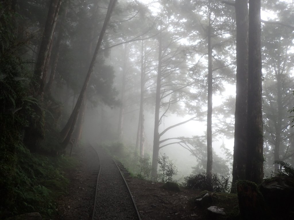 P8226788.JPG - 太平山 見晴懷古步道