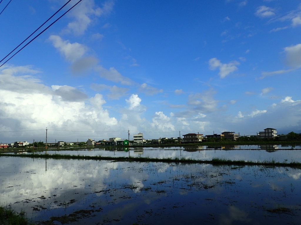 PA104176.JPG - 壯圍  竹安  水田雲影