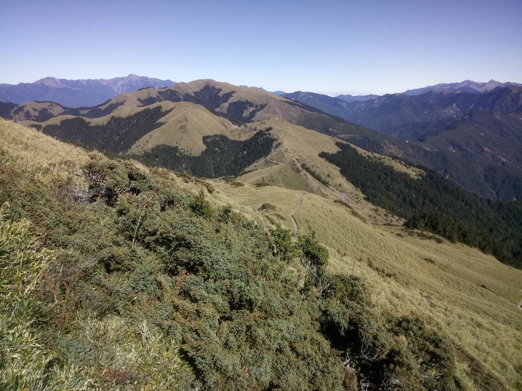 DSC_6679.JPG - 合歡山  東峰