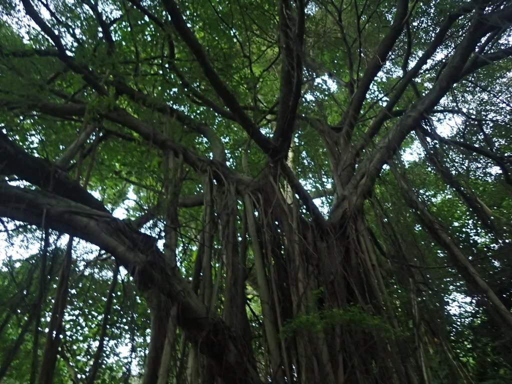 PC018121.JPG - 大直  正願禪寺