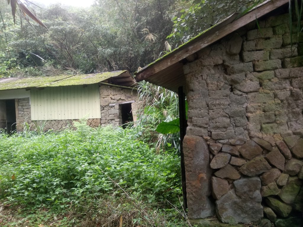 DSC_8483.JPG - 深坑  炮子崙登山步道