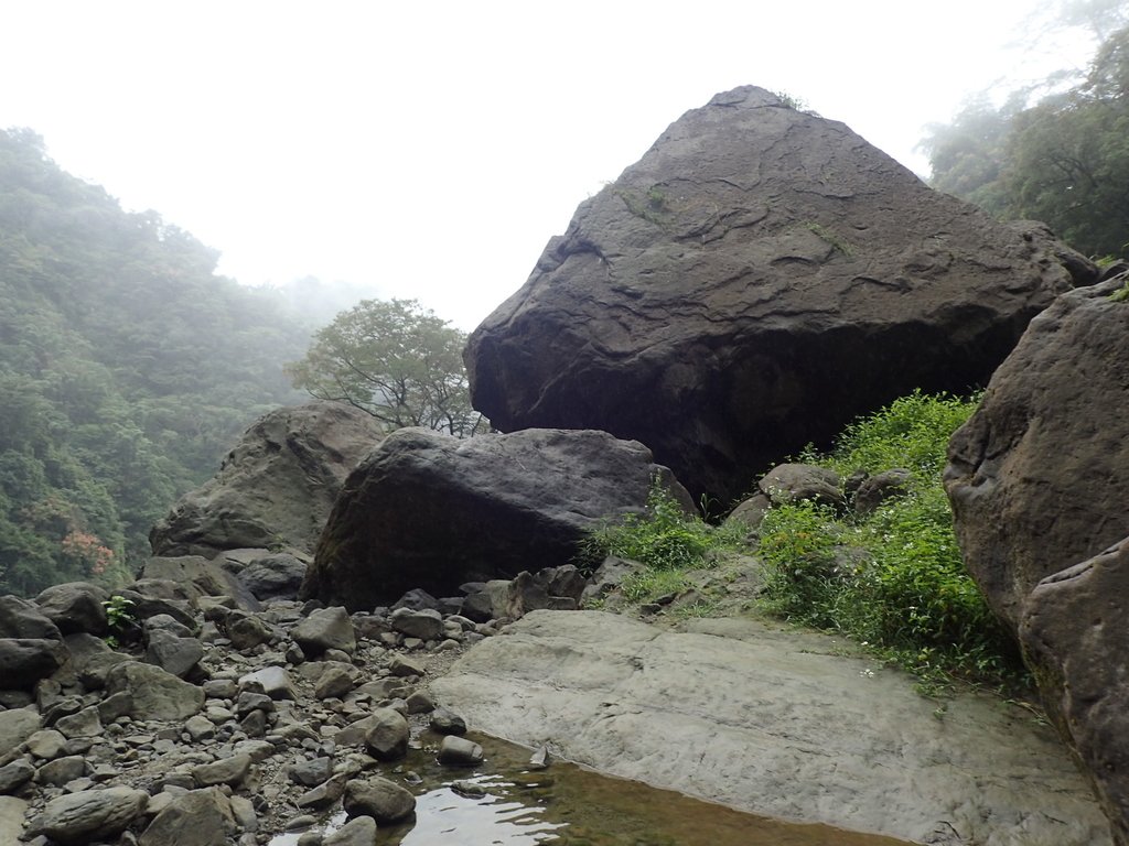 PA231597.JPG - 草嶺  蓬萊瀑布步道