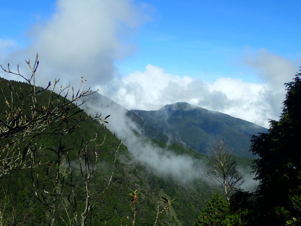 PB265454.JPG - 太平山  翠峰湖環山步道  02