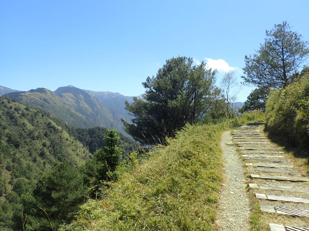 P3268154.JPG - 鹿林山  麟趾山步道  (02)