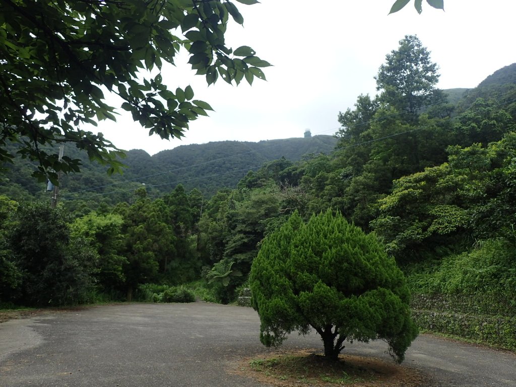 P7203897.JPG - 平溪  五分山登山步道