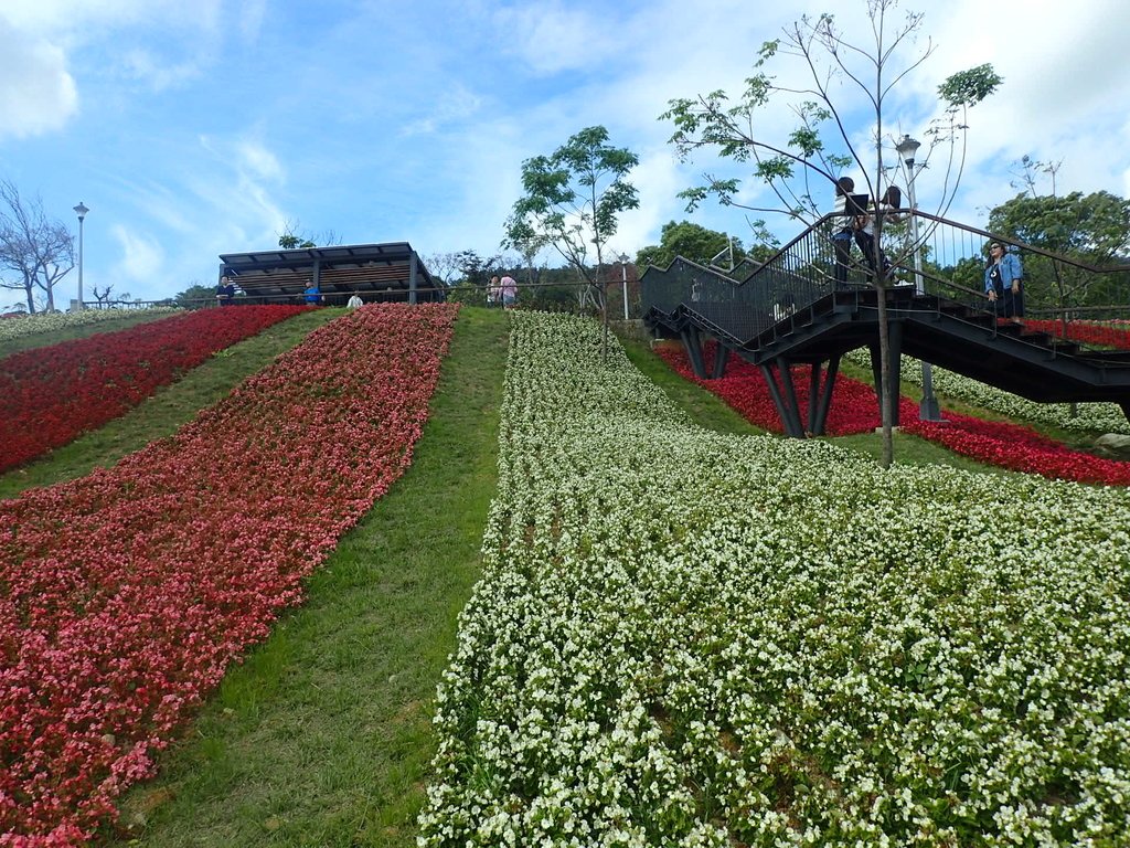 P2155433.JPG - 北投社  三層崎公園